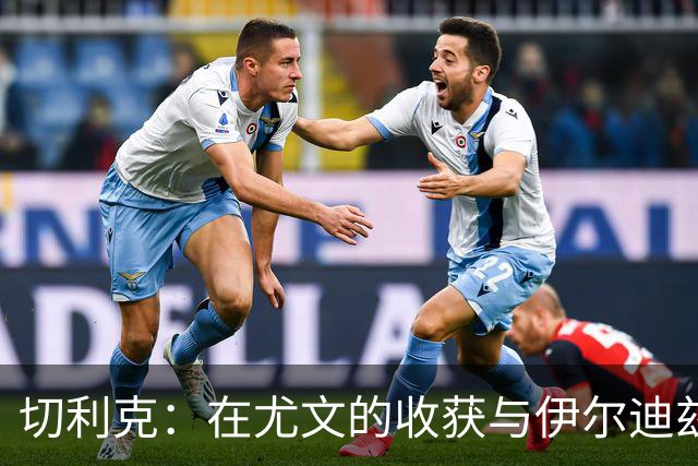 切利克：在尤文的收获与伊尔迪兹的缺席