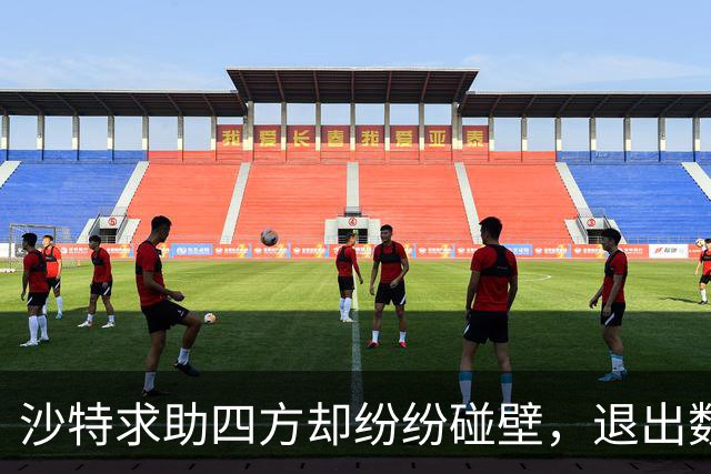 沙特求助四方却纷纷碰壁，退出数字货币项目，真是个糟糕选择？