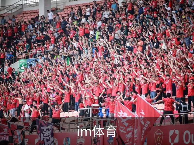 im体育介绍